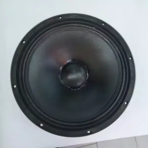 How to Choose the Right Midrange Speaker for a Professional PA System 6 BM 15AZ16 Midrange Naked Speaker