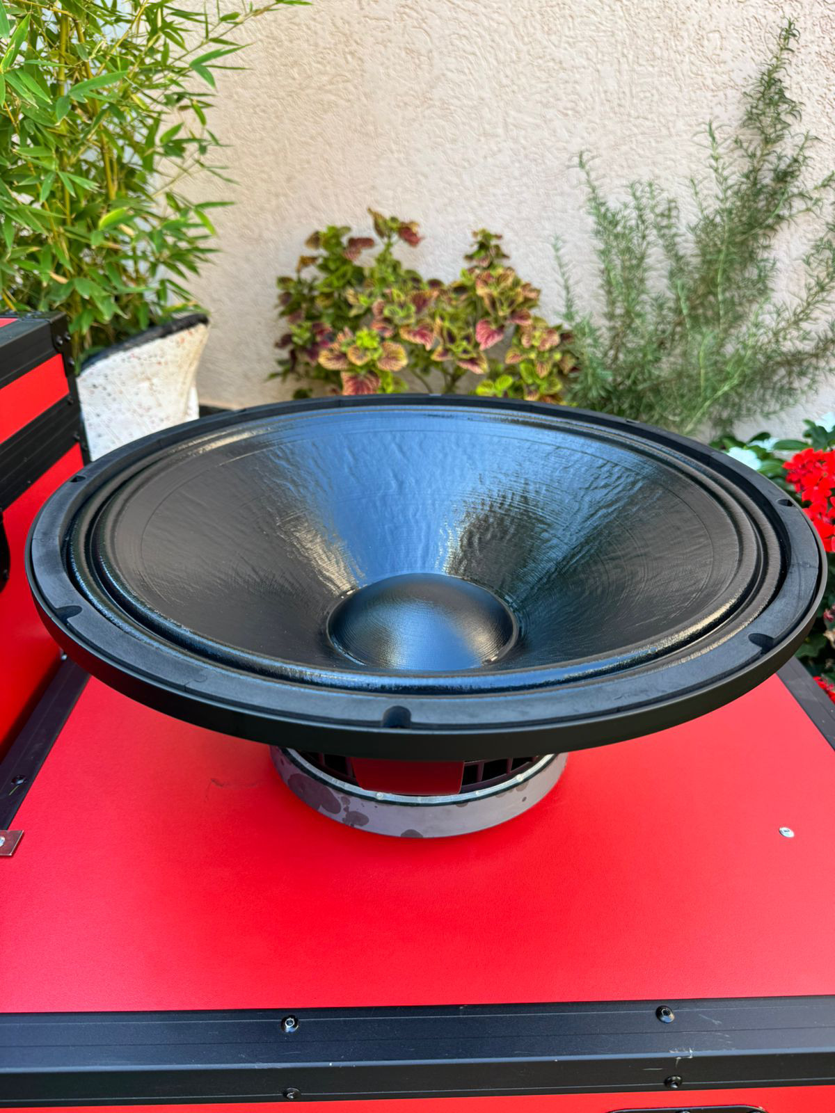 BM Audio professional bass woofer