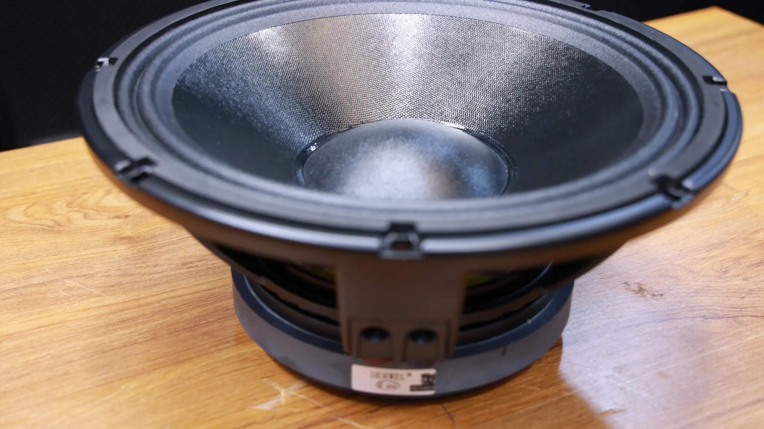 Why Professionals Choose the Derwel Precision 12WK301 for High-Performance Speaker Systems 6 Derwel Precision 12WK301