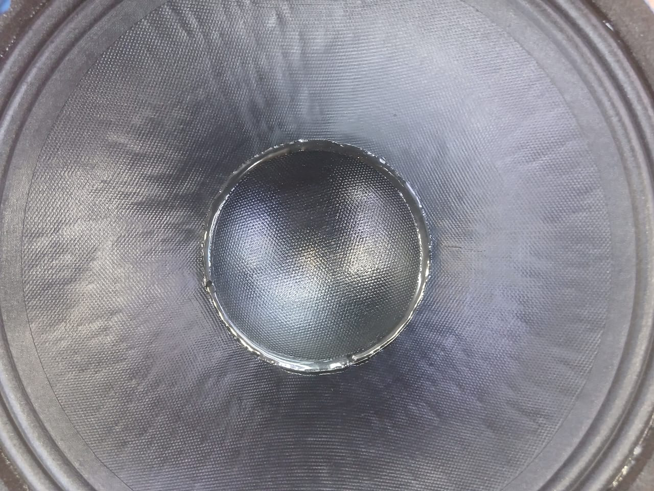 Derwel 12DE600 Speaker Driver for PA Cabinet Repairs and Custom Builds 8 Derwel 12DE600 naked speaker Kenya
