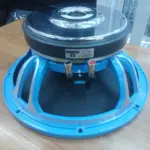 Derwel 12DE600 professional naked speaker