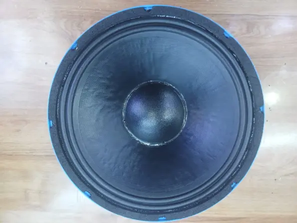 Derwel 12DE600 replacement woofer