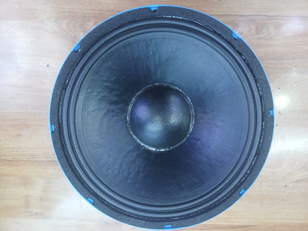 Derwel 12DE600 replacement woofer