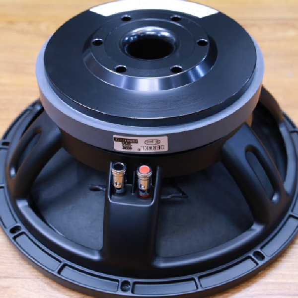 Derwel 12DL202 12-Inch Speaker Driver: A Reliable Choice for Professional PA Systems 13 Derwel 12DL202 Loudspeaker