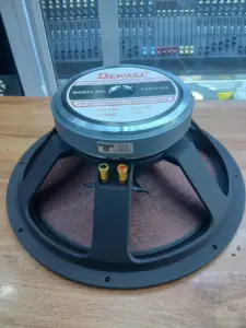 Derwel 15AH153 naked speaker