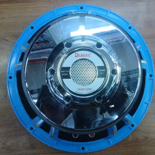 Derwel 15DE1200 Naked Speaker