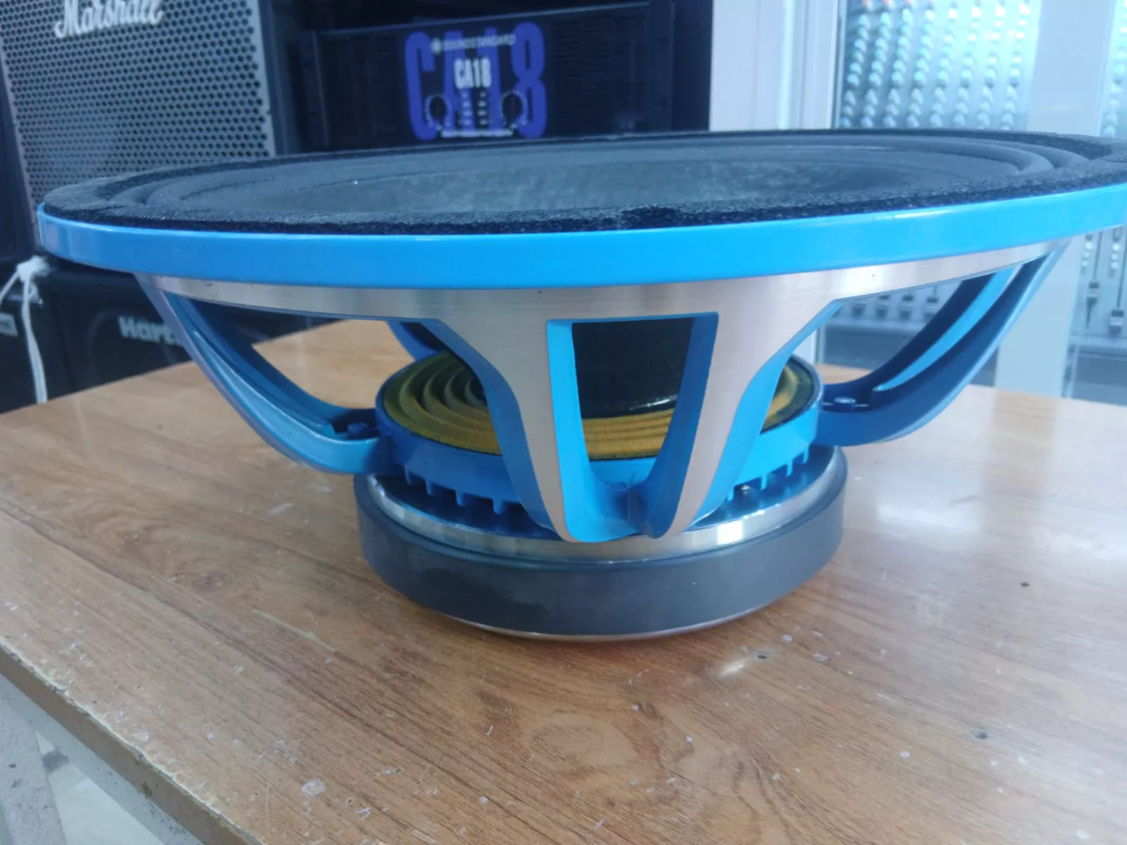 Derwel 15DE1200 Naked Speaker Kenya: Build a Reliable Professional Sound System 9 Derwel Professional Loudspeaker
