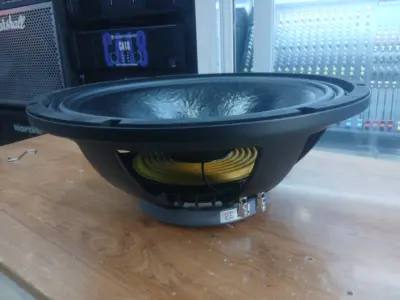 15PL76 Professional Loudspeaker