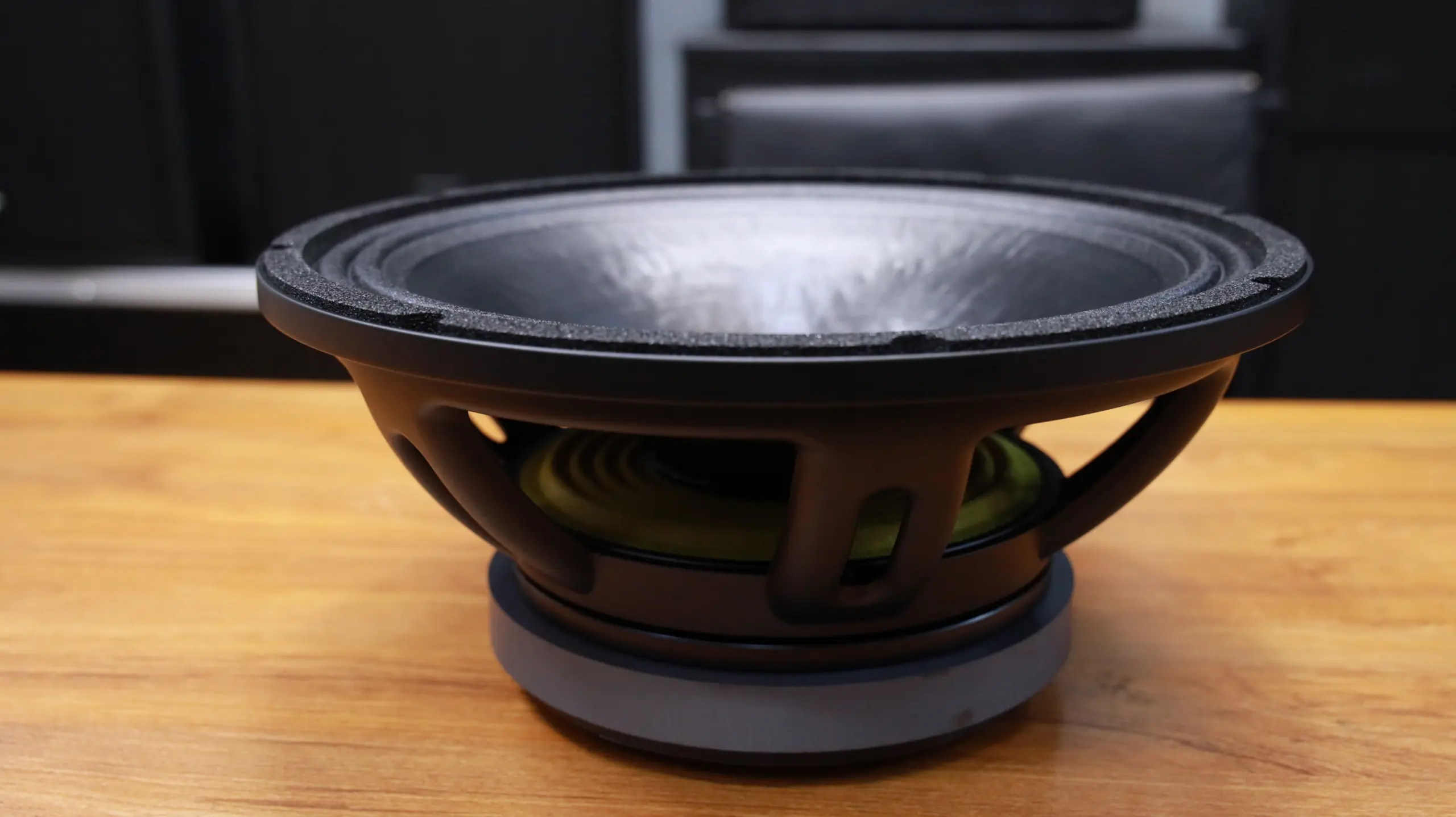 Derwel 12DL202 12-Inch Speaker