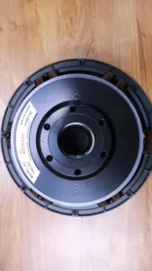 Derwel 8 Ohms Speaker