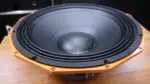 Derwel PD2190 21-Inch Bass Speaker