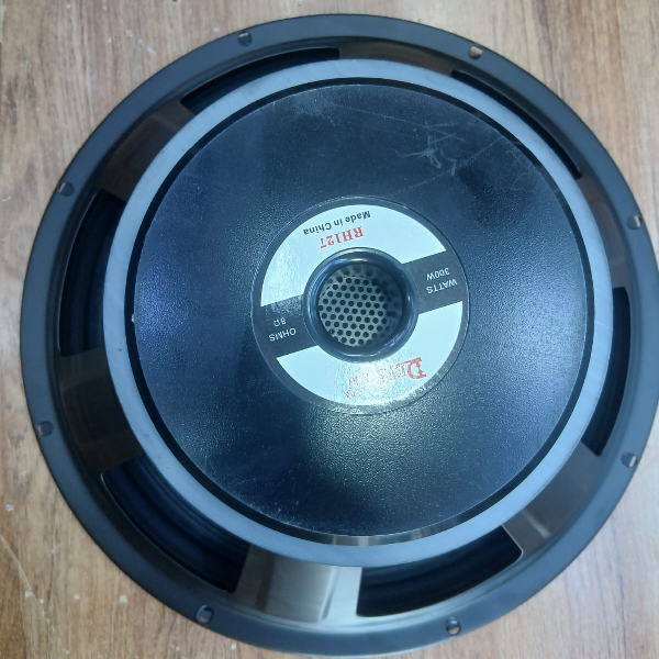 How the Derwel RH127 12-Inch Naked Speaker Helps Restore Professional Sound Performance 6 Derwel RH127 12-Inch Naked Speaker