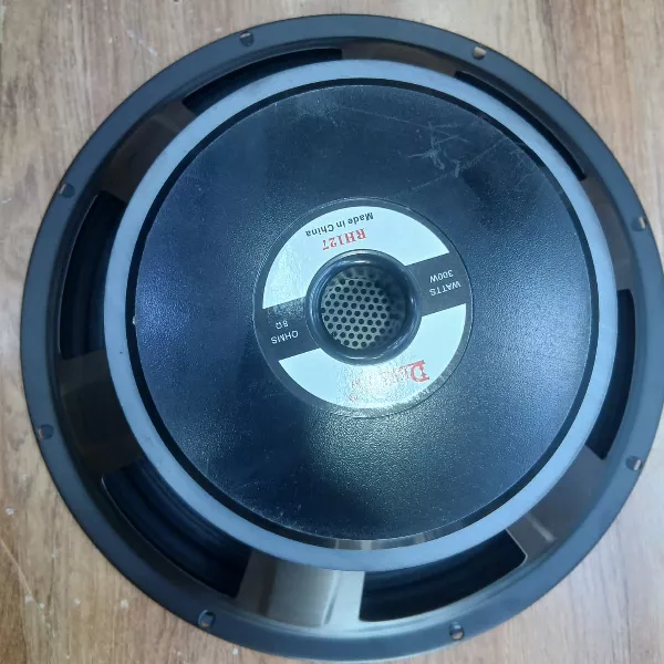 Derwel RH127 12-Inch Naked Speaker Derwel RH127