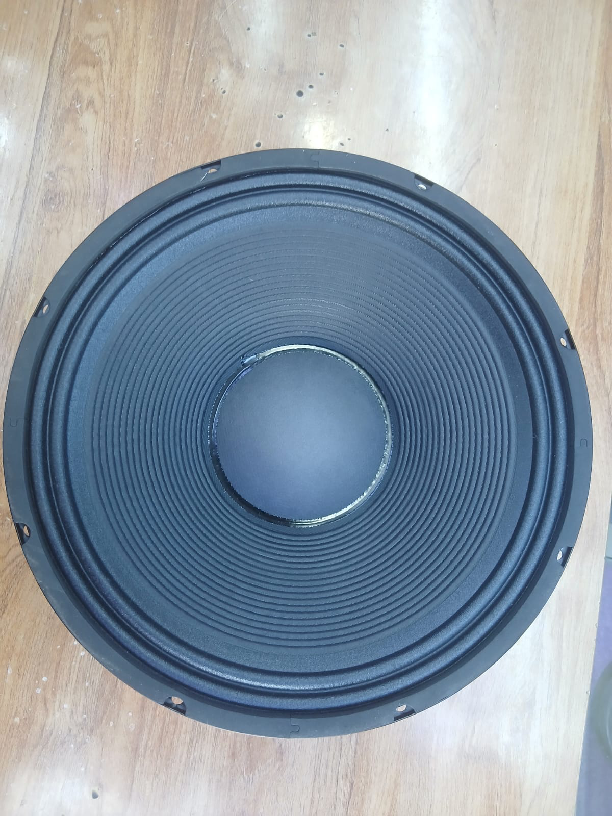 How the Derwel RH127 12-Inch Naked Speaker Helps Restore Professional Sound Performance 7 Derwel Professional Speaker