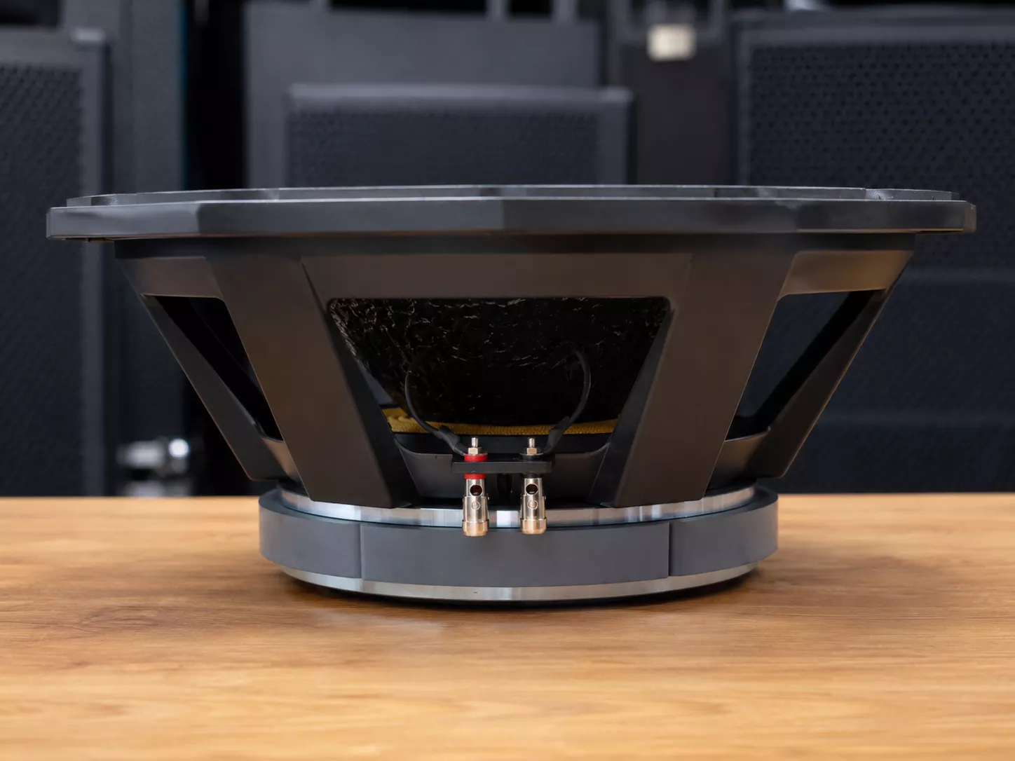 Derwel PD1850 Professional Speaker: A Smart Choice for Sound System Upgrades 23 Derwel professional speaker