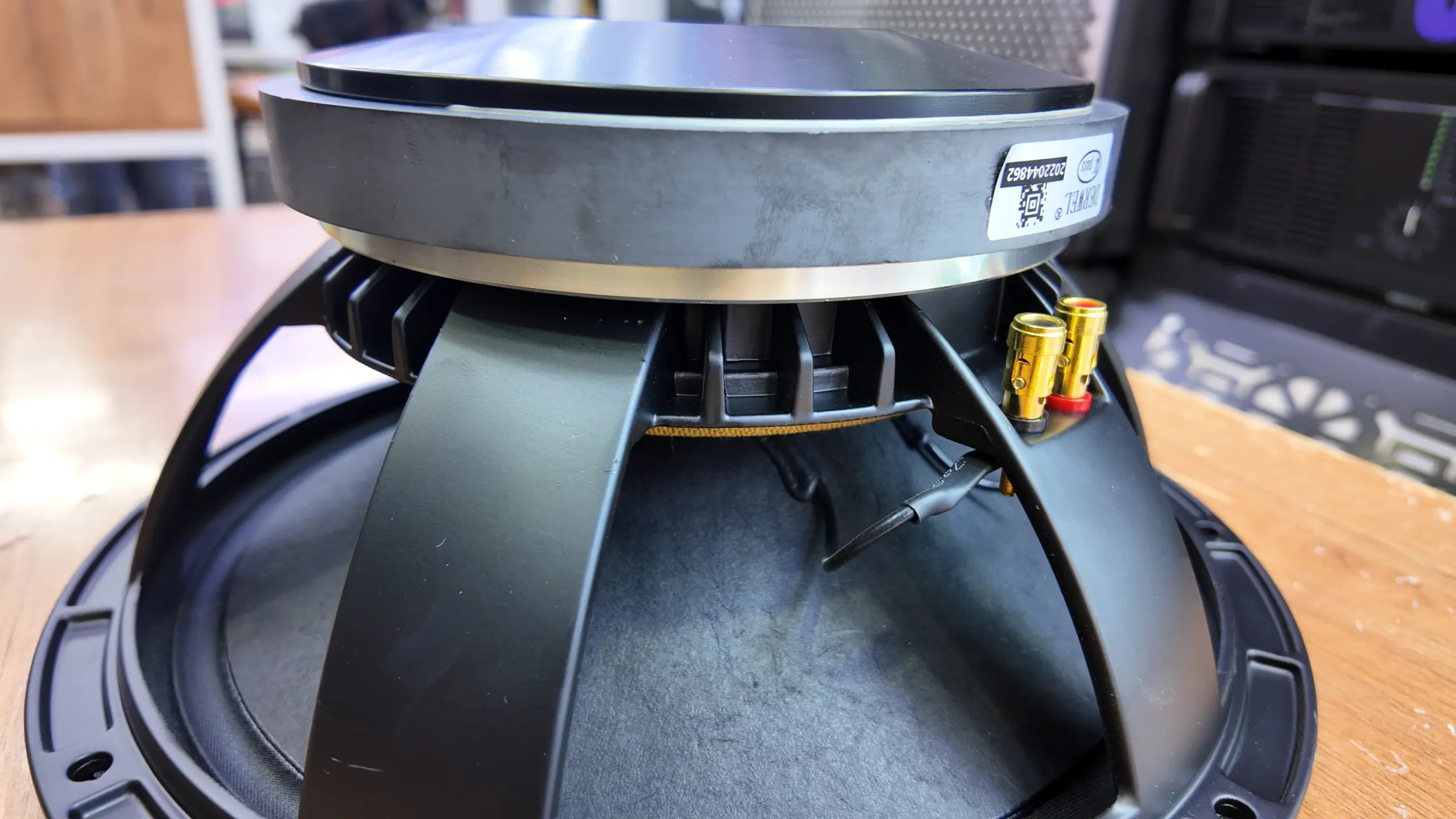 Derwel 12AH975 Speaker