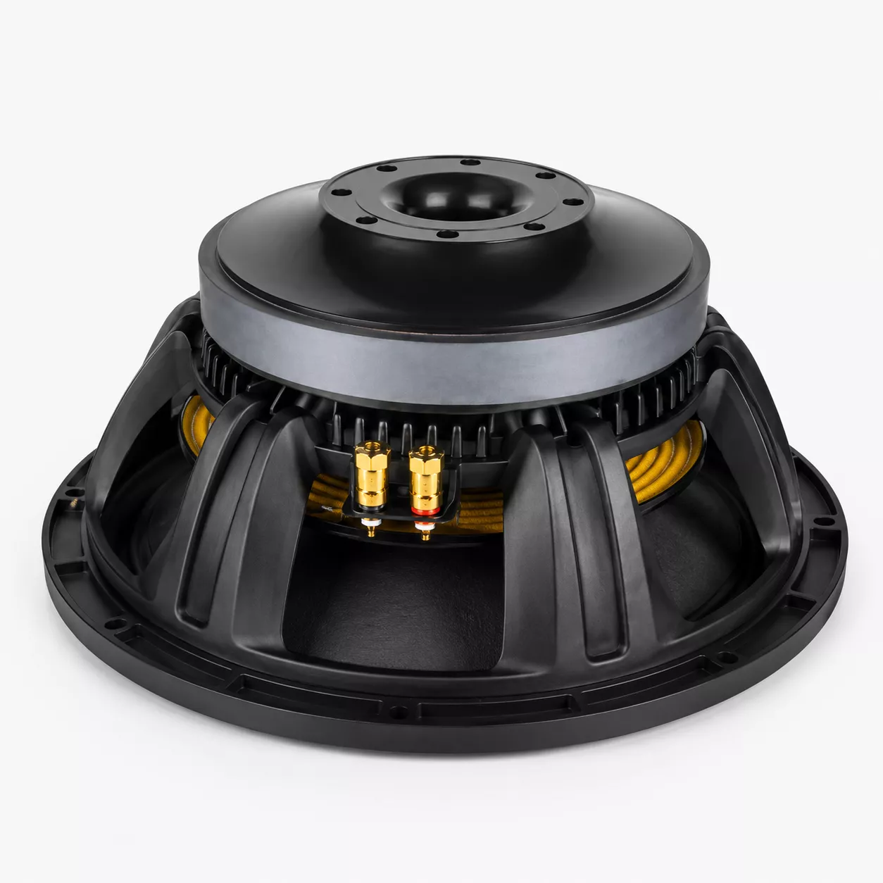 New Retone 15WF535 15-Inch Naked Speaker: Improving PA Sound with the Right Replacement Driver 24 New Retone 15WF535 Kenya
