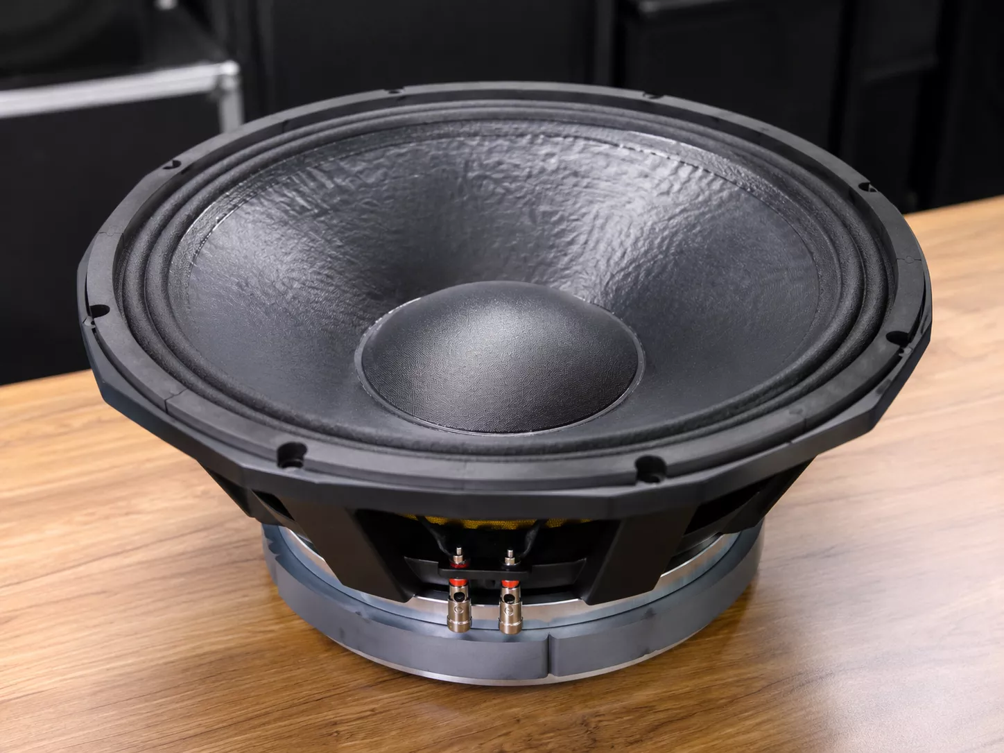 Derwel PD1850 Professional Speaker: A Smart Choice for Sound System Upgrades 35 PD1850 speaker Kenya