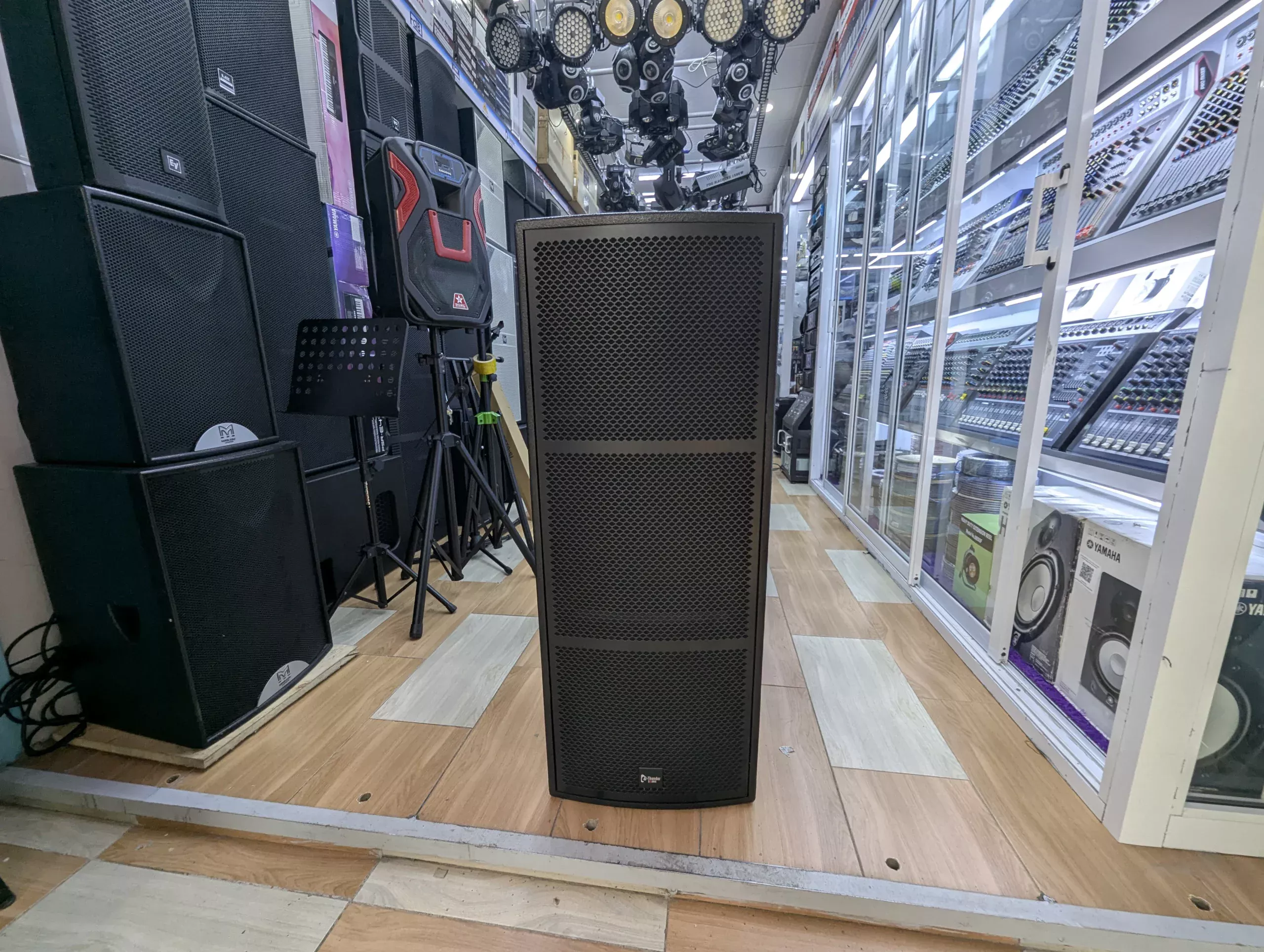 Thunder Sound TS 215 loudspeaker Kenya