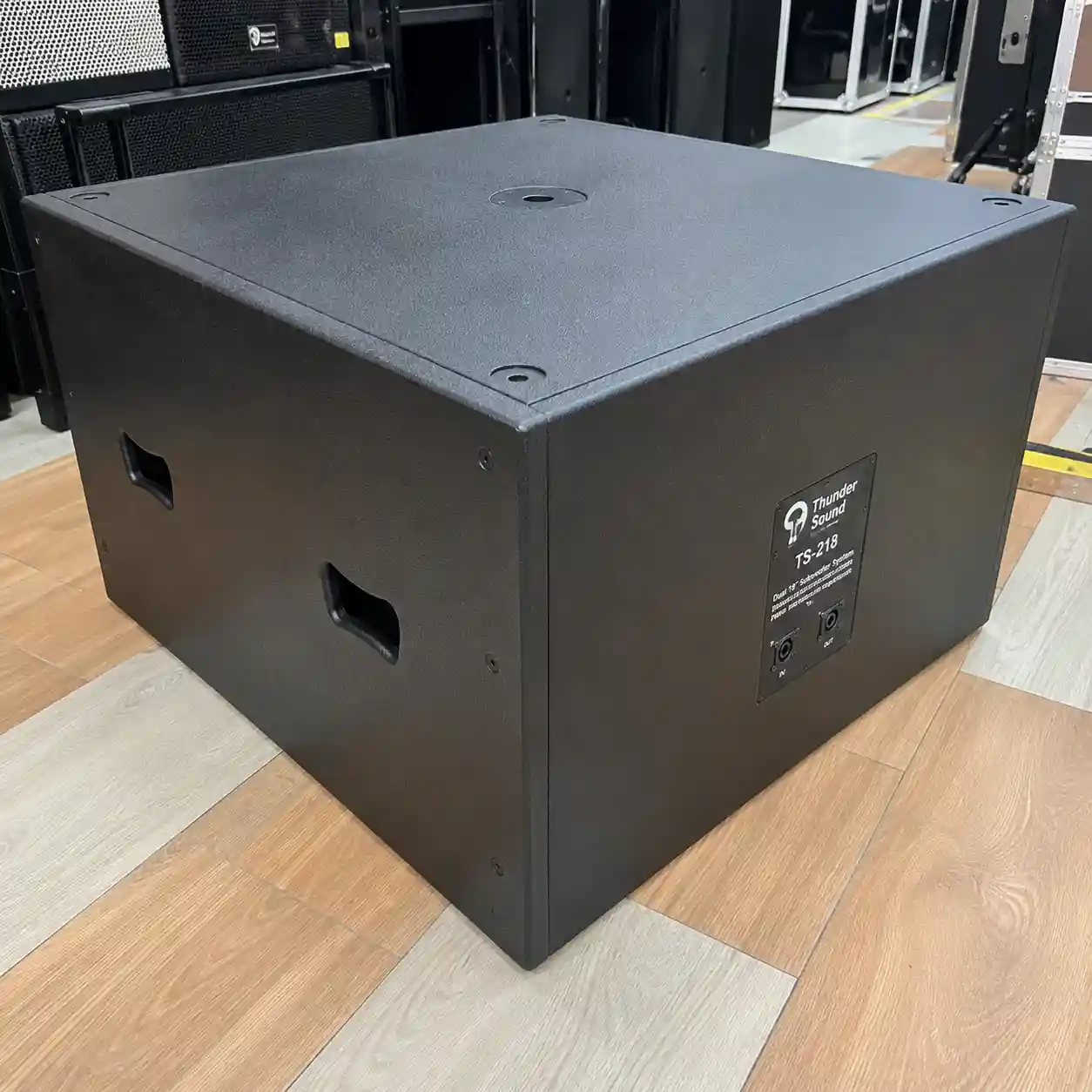 Thunder Sound TS 218 church speaker
