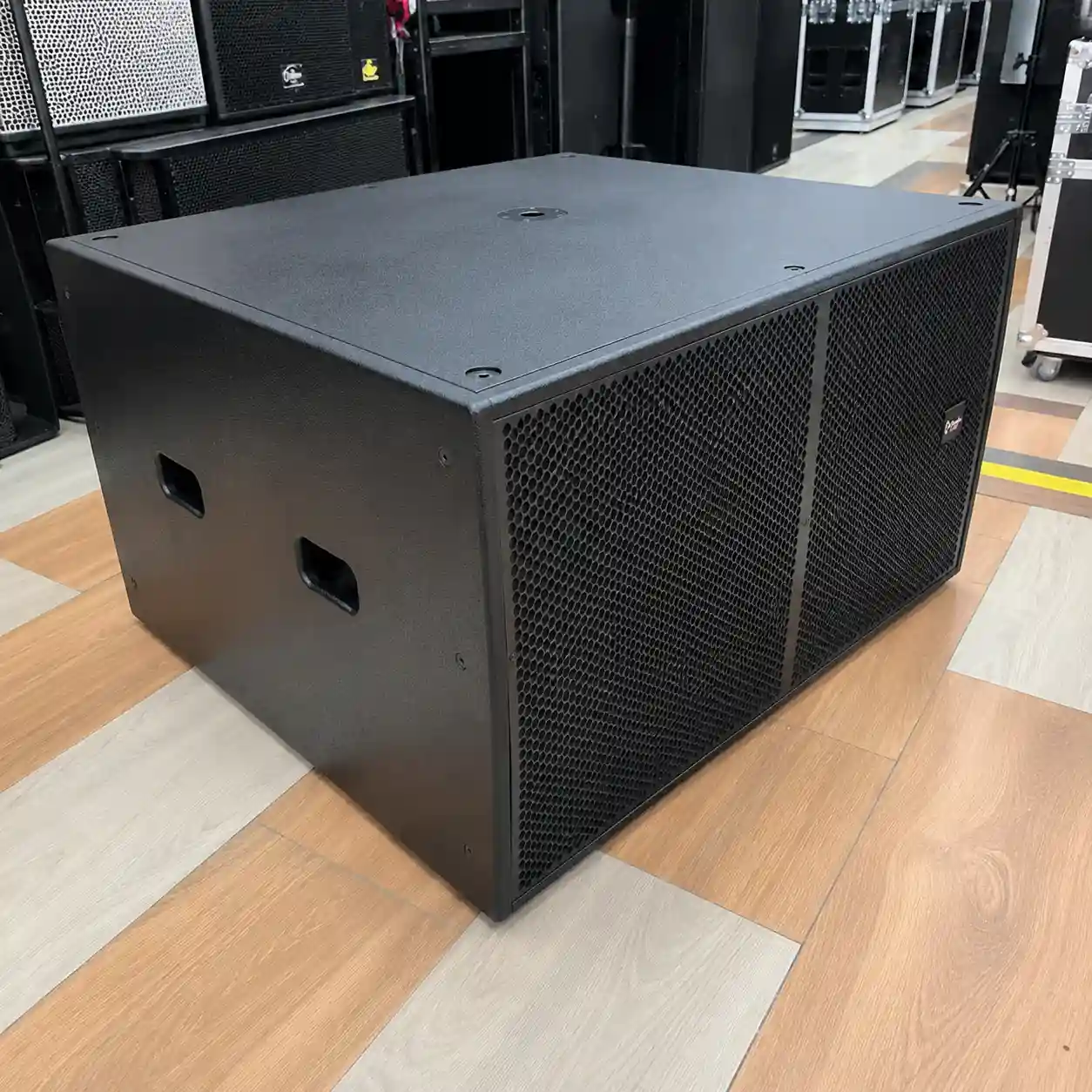 Thunder Sound TS 218 theatre speaker