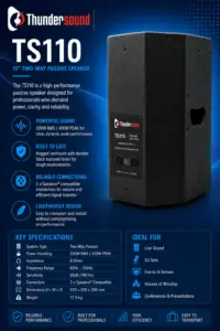 Thunder Sound TS110 2-Way Full-Range