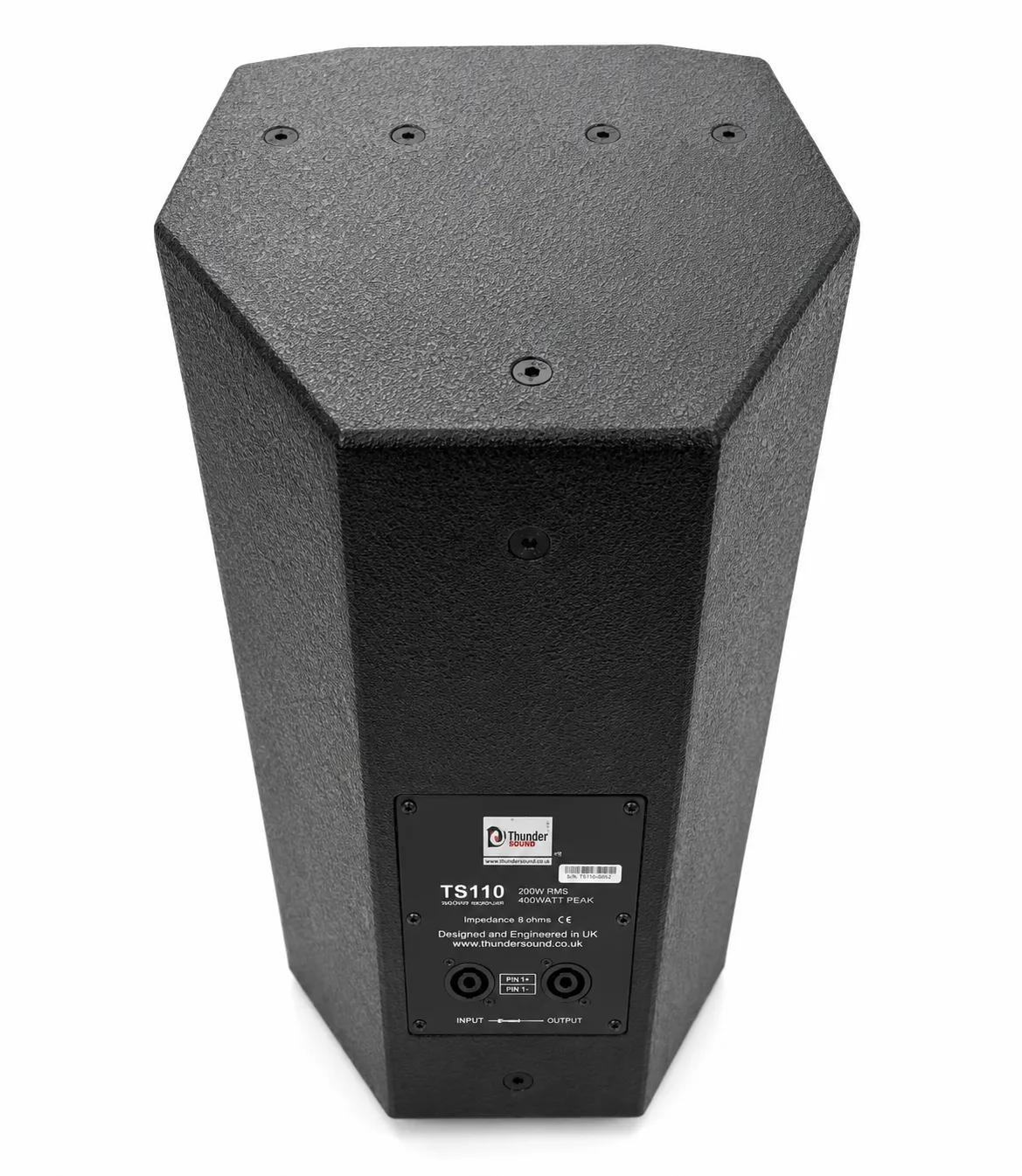 Thunder Sound TS110 2-Way Full-Range Loudspeaker System – Compact 10-Inch Speaker for Churches, Halls and Conferences 10 Thunder Sound TS110 church speaker