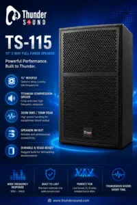 Thunder Sound TS115