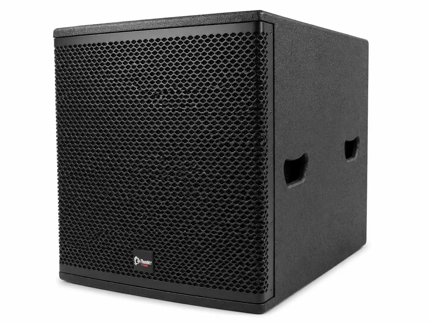 Thunder Sound TS118 Subwoofer – Powerful 18-Inch Bass Speaker for Events, Churches and DJ Sound 9 Thunder Sound TS118 bass speaker