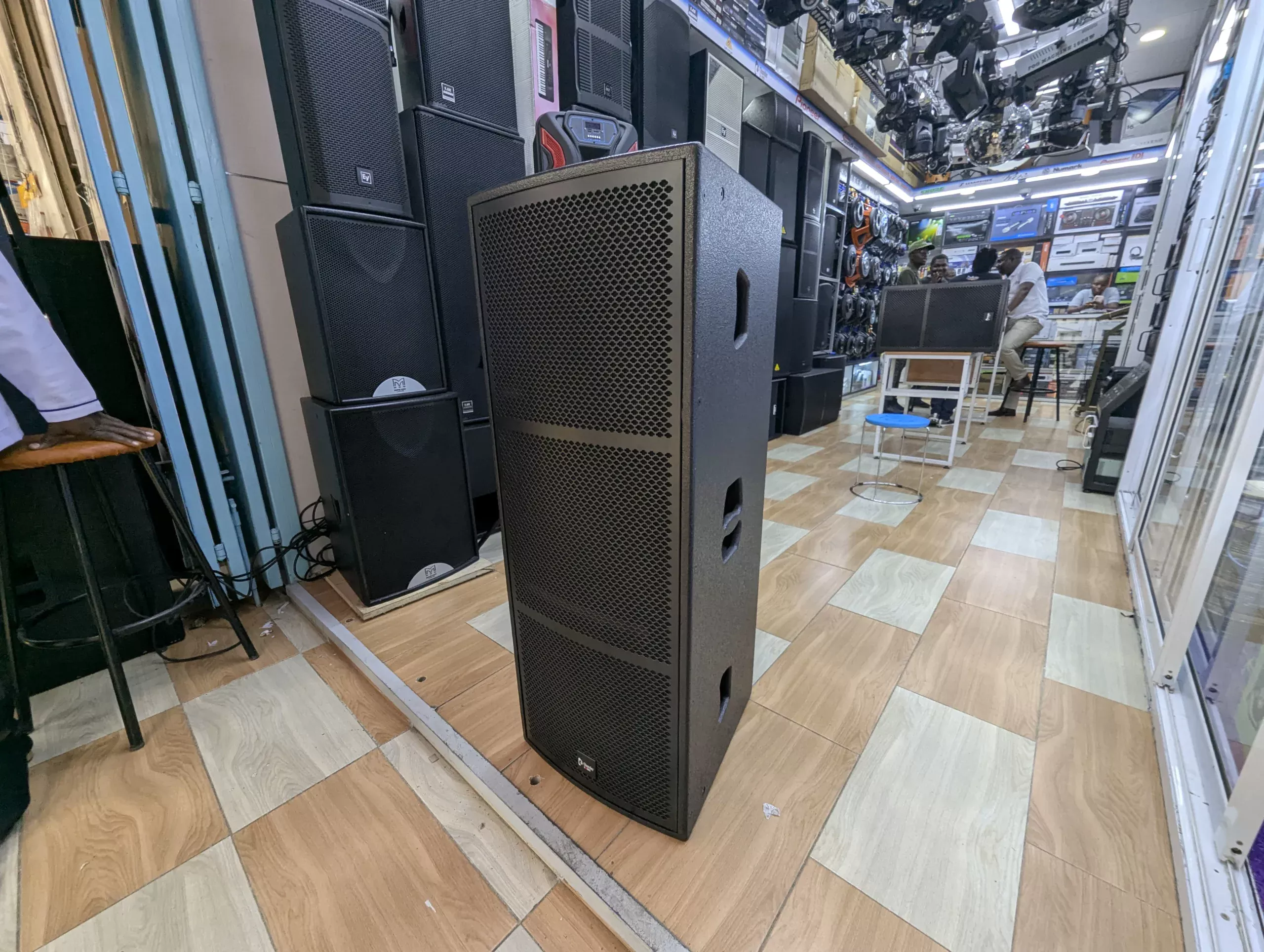 Thunder Sound TS215 professional loudspeaker