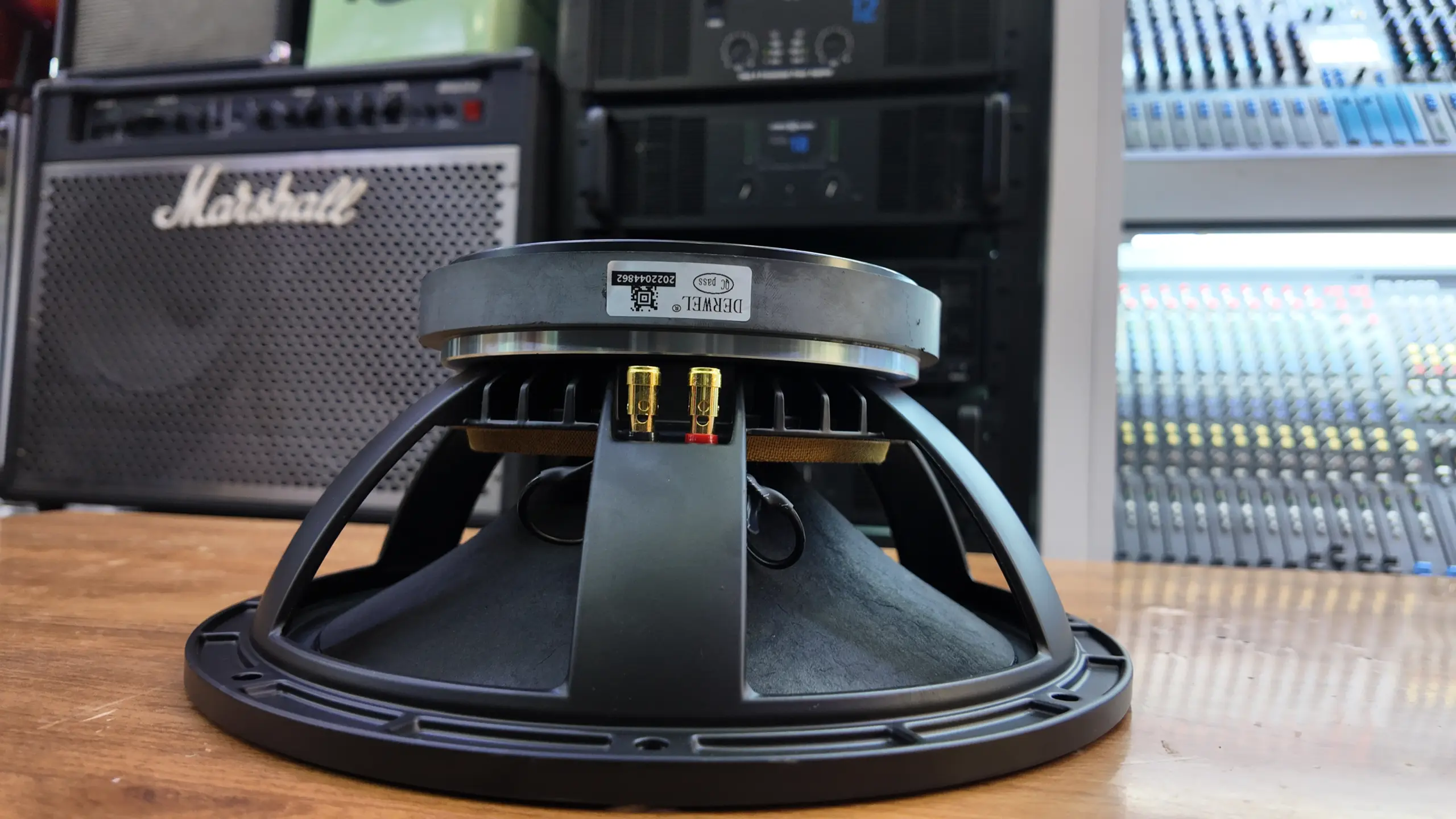 Derwel 12AH975 Speaker Kenya – 12-Inch 600W Driver for Sound System Repairs 14 professional loudspeaker Kenya